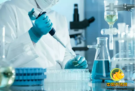 免疫学IHC,ELISA和WB实验比较