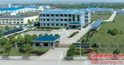 于洪忠:30年只做消毒类产品的背后‖动力心发现