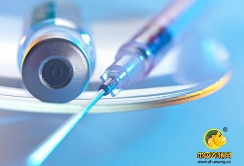 “兽用疫苗冷链物流“,为何不温不火没人重视呢,原因是……