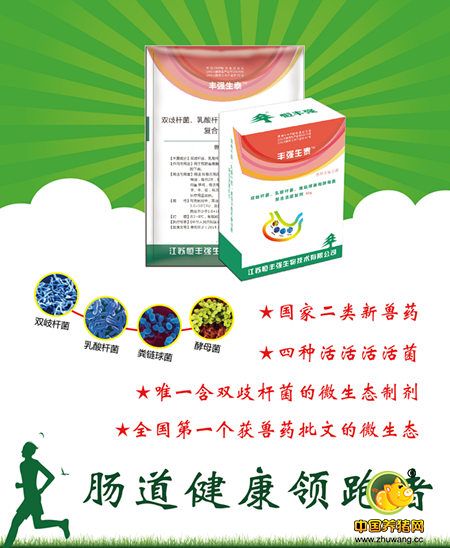 夏季仔猪腹泻的原因分析及防控方案