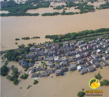 至刚至柔是流水,至深至诚是真心
