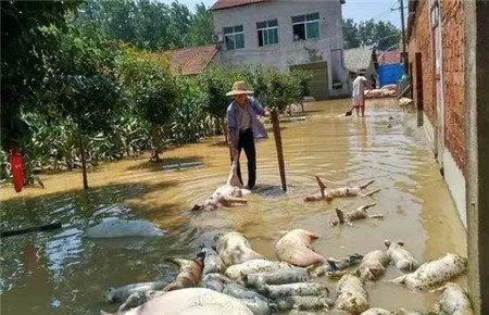 至刚至柔是流水,至深至诚是真心