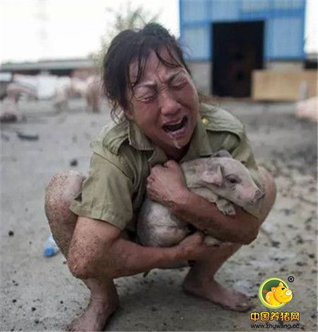 至刚至柔是流水,至深至诚是真心