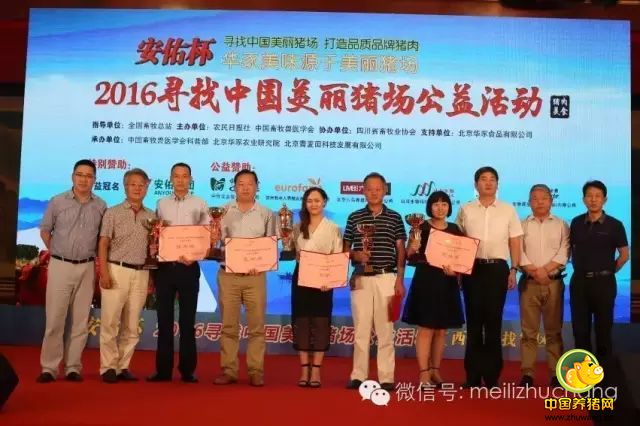 湖北金旭爵士荣获“中国美丽电子游艺网站
(东部)”称呼