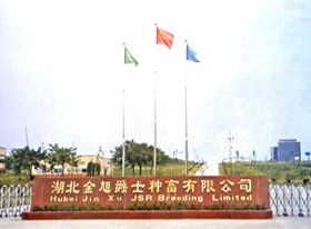 湖北金旭爵士荣获“中国美丽电子游艺网站
(东部)”称呼