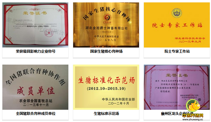 湖北金旭爵士荣获“中国美丽电子游艺网站
(东部)”称呼