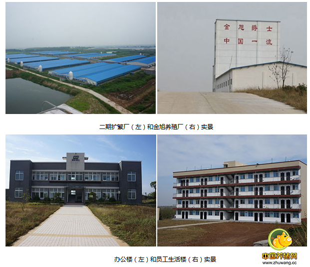 湖北金旭爵士荣获“中国美丽电子游艺网站
(东部)”称呼