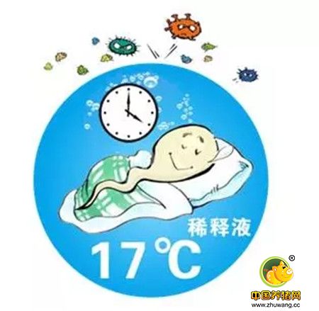 【收藏干货】关于猪精,你了解多少?