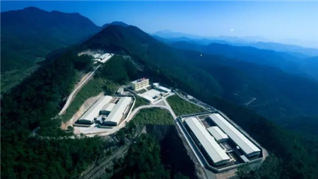 【收藏干货】关于猪精,你了解多少?