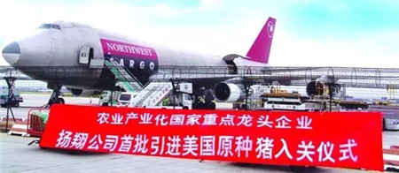 【收藏干货】关于猪精,你了解多少?