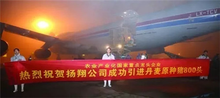 【收藏干货】关于猪精,你了解多少?