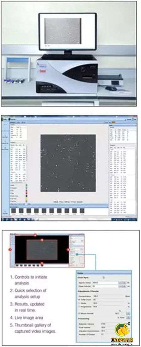 【收藏干货】关于猪精,你了解多少?