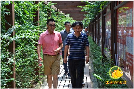黑龙江佳木斯市邱士林副市长一行到天兆猪业考察