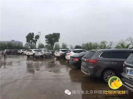 中国最美丽电子游艺网站
访问记