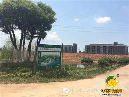 中国最美丽电子游艺网站
访问记