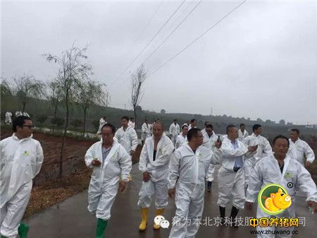 中国最美丽电子游艺网站
访问记