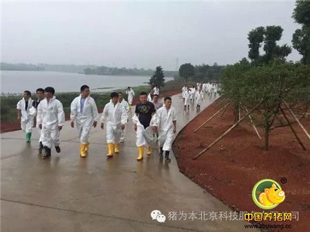 中国最美丽电子游艺网站
访问记