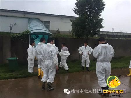 中国最美丽电子游艺网站
访问记