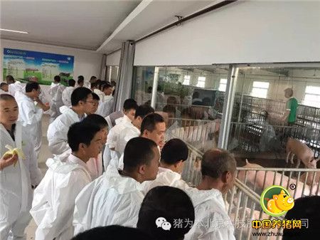 中国最美丽电子游艺网站
访问记