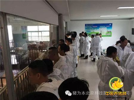 中国最美丽电子游艺网站
访问记