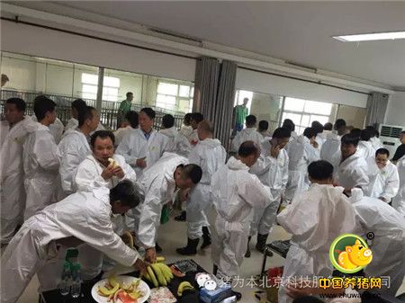 中国最美丽电子游艺网站
访问记