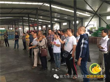 中国最美丽电子游艺网站
访问记