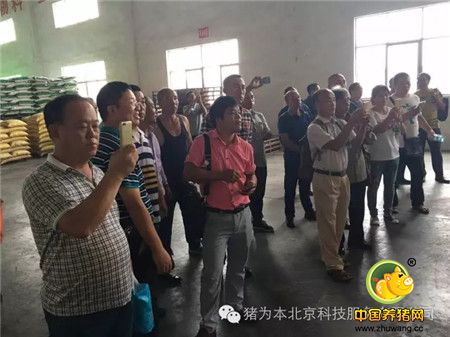 中国最美丽电子游艺网站
访问记