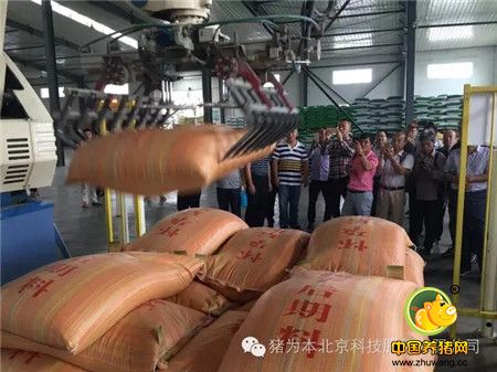 中国最美丽电子游艺网站
访问记