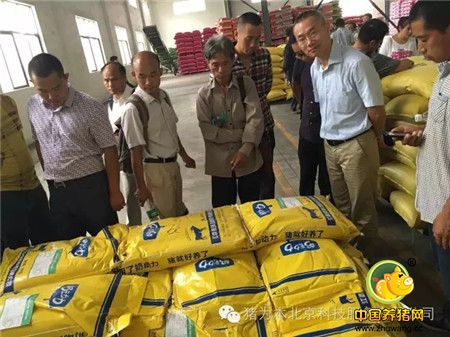 中国最美丽电子游艺网站
访问记