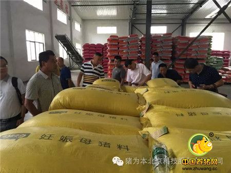 中国最美丽电子游艺网站
访问记