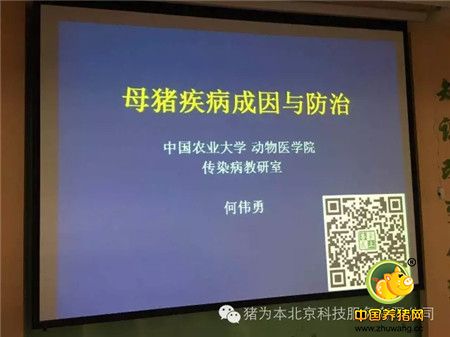 中国最美丽电子游艺网站
访问记