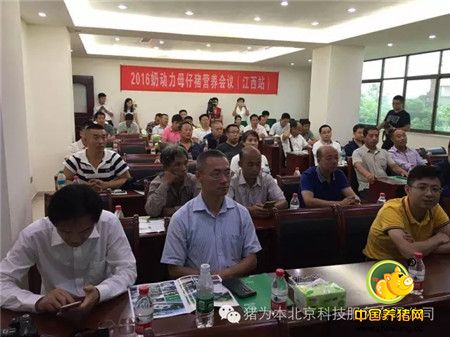 中国最美丽电子游艺网站
访问记