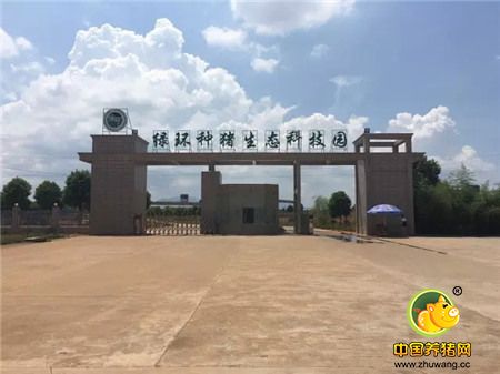 中国最美丽电子游艺网站
访问记