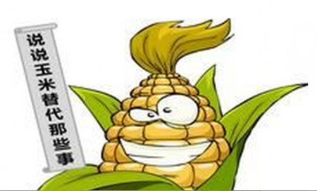 不仅仅是小麦 还有哪些作物可以成为玉米替代品?