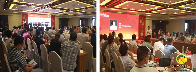 四川恒通第六届中国兽药大会大展风采