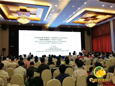 蓝海之光,历九而生——永顺GDr180闪耀第一届南农中美猪业高峰论坛