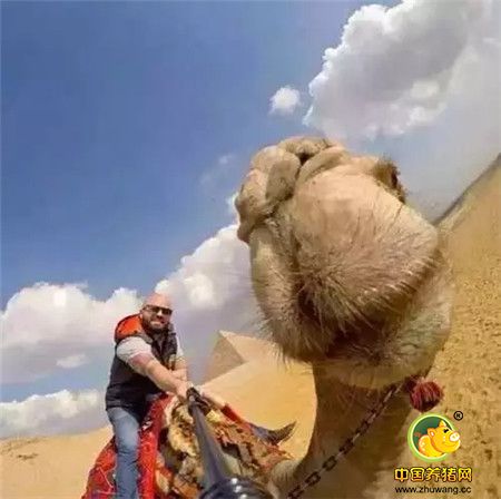 国庆洪荒之礼,厚惠有期