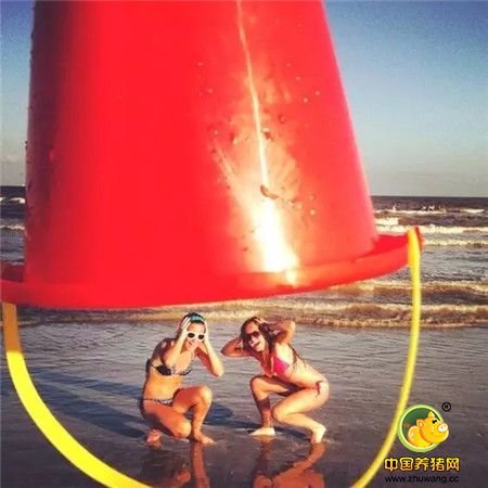 国庆洪荒之礼,厚惠有期