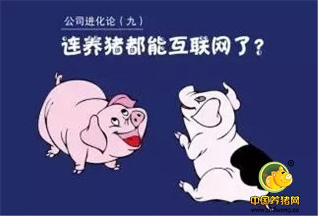 从200元创业到市值200亿,“中国养猪第一股”掌舵人亲授秘籍