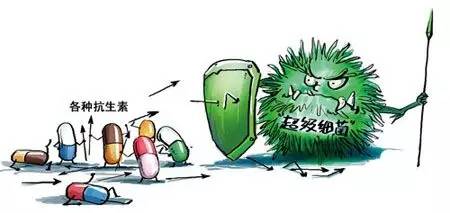 华中农大教授发声:没有证据表示养殖业用抗生素导致“超级细菌”