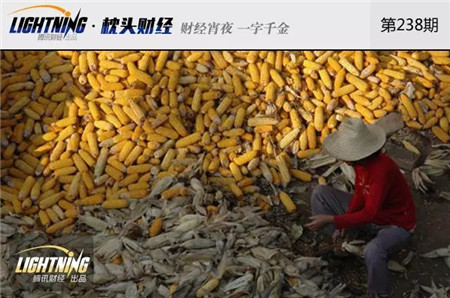 我国玉米库存2.6亿吨!快耗不起百亿成本了