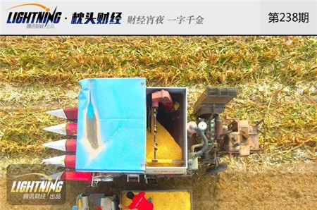 我国玉米库存2.6亿吨!快耗不起百亿成本了