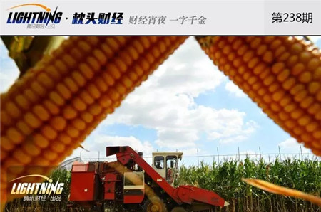 我国玉米库存2.6亿吨!快耗不起百亿成本了