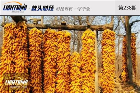 我国玉米库存2.6亿吨!快耗不起百亿成本了