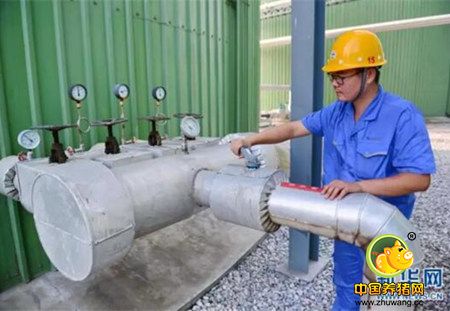 猪粪价值堪比“黄金”!谁能玩转这千亿级市场?