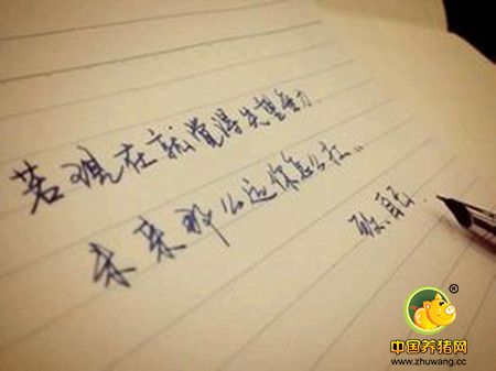 人活着,是为了自己的理想还是他人的目光?