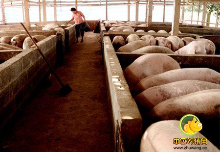 冬季养电子游艺网站
房采暖方式的分析