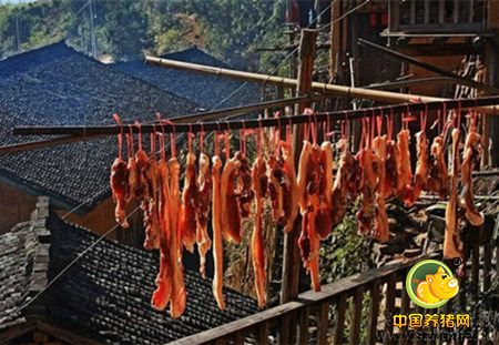 年猪市场即将到来,你准备好迎接大涨了吗?