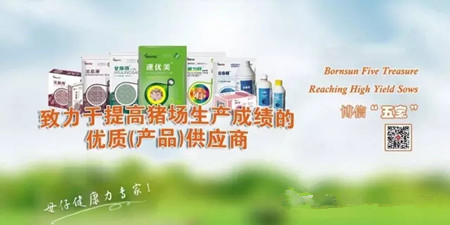 您注意到母猪发病前一直在传递信号了吗?