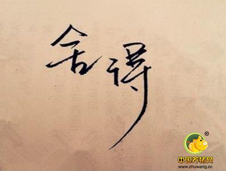 智慧的人生态度:别把最好的留到最后